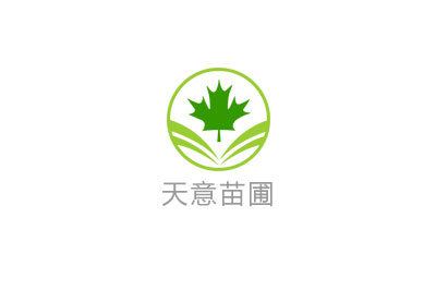 云杉種植技術和方法