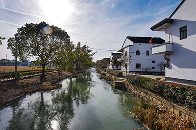 美麗鄉村綠化